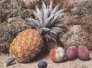 John Sherrin A Pineapple,a Peach and Plums on a mossy Bank (mk37) oil painting artist